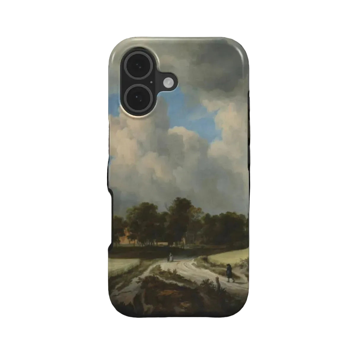 Dutch landscape - tough case
