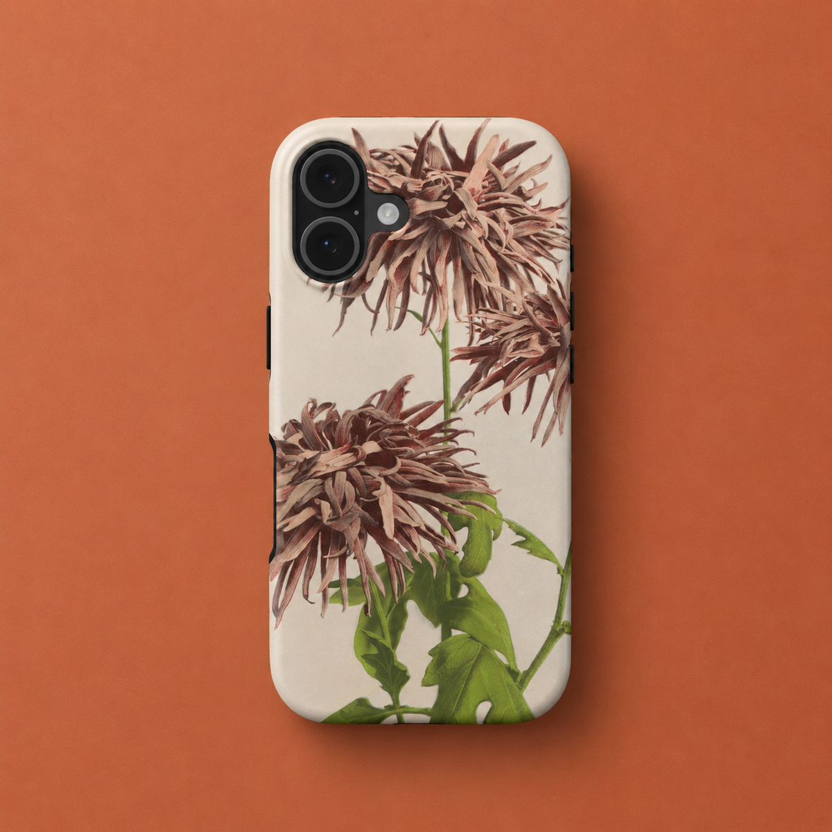 Vintage bloom
